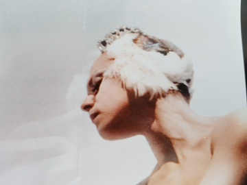 El Lago de los Cisnes