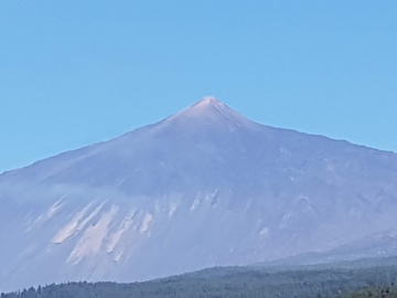 Un paseo con dromedarios