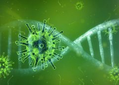 Porqué tantos mayores muertos…