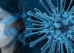 Ineptos ante el COVID 19?