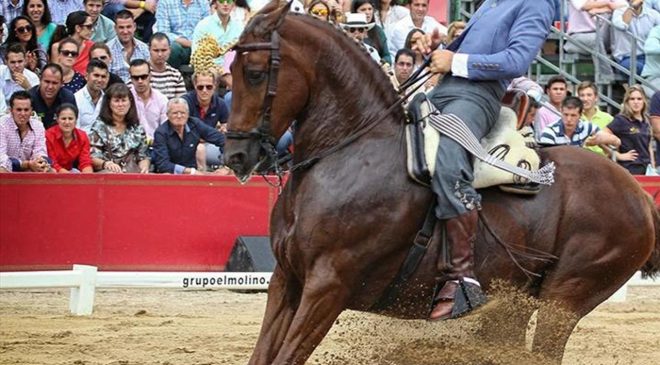 Una "parada a la raya"